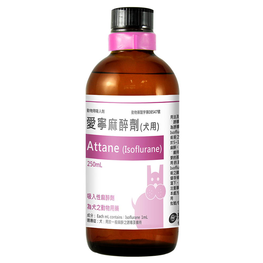 Attane (Isoflurane) inhalational anesthetic - Panion & BF Biotech